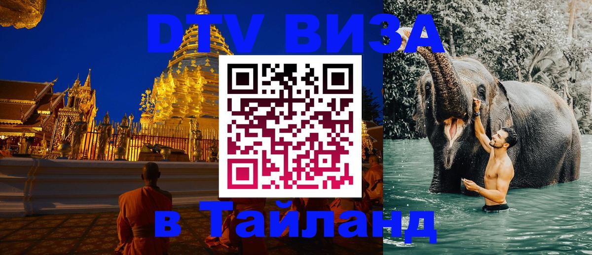 Оформление DTV визы под ключ: стоимость и тарифы, только загранпаспорт - 18.11.2025 